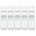 10x Goldwell Dualsenses Scalp Specialist Anti-Dandruff Shampoo 250ml